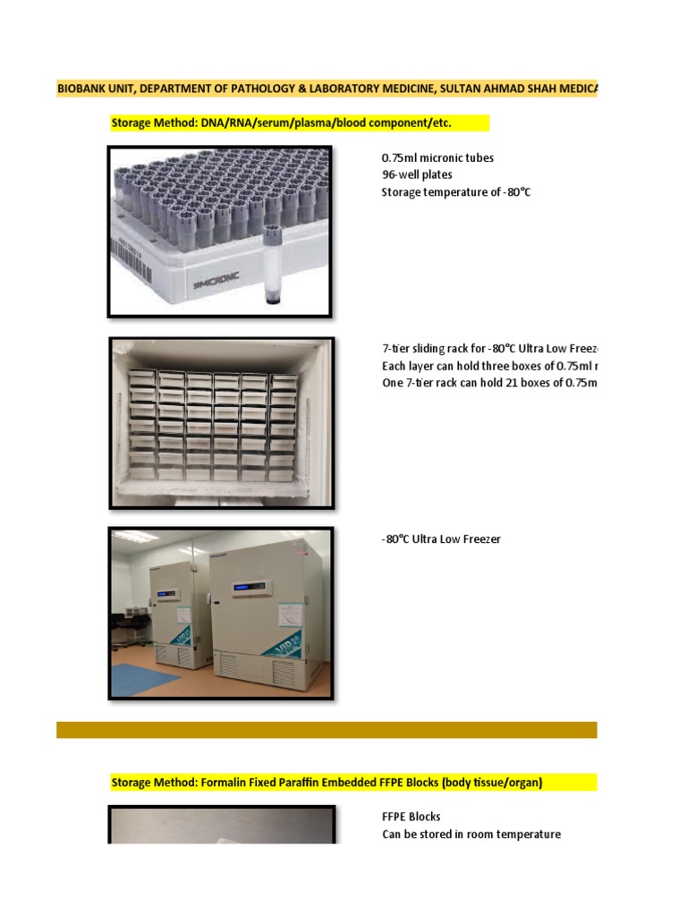 Biobank Storage Methods and Workflow | PDF