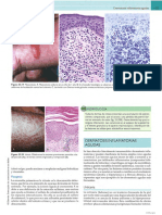 Robbins y Cotran Patología Estructural y Funcional (Vinay Kumar, Abul K. Abbas, Jon C. Aster)