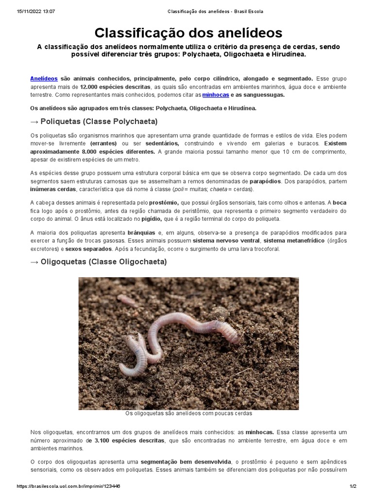 Classificação dos Anelídeos | PDF | Casa e Jardim