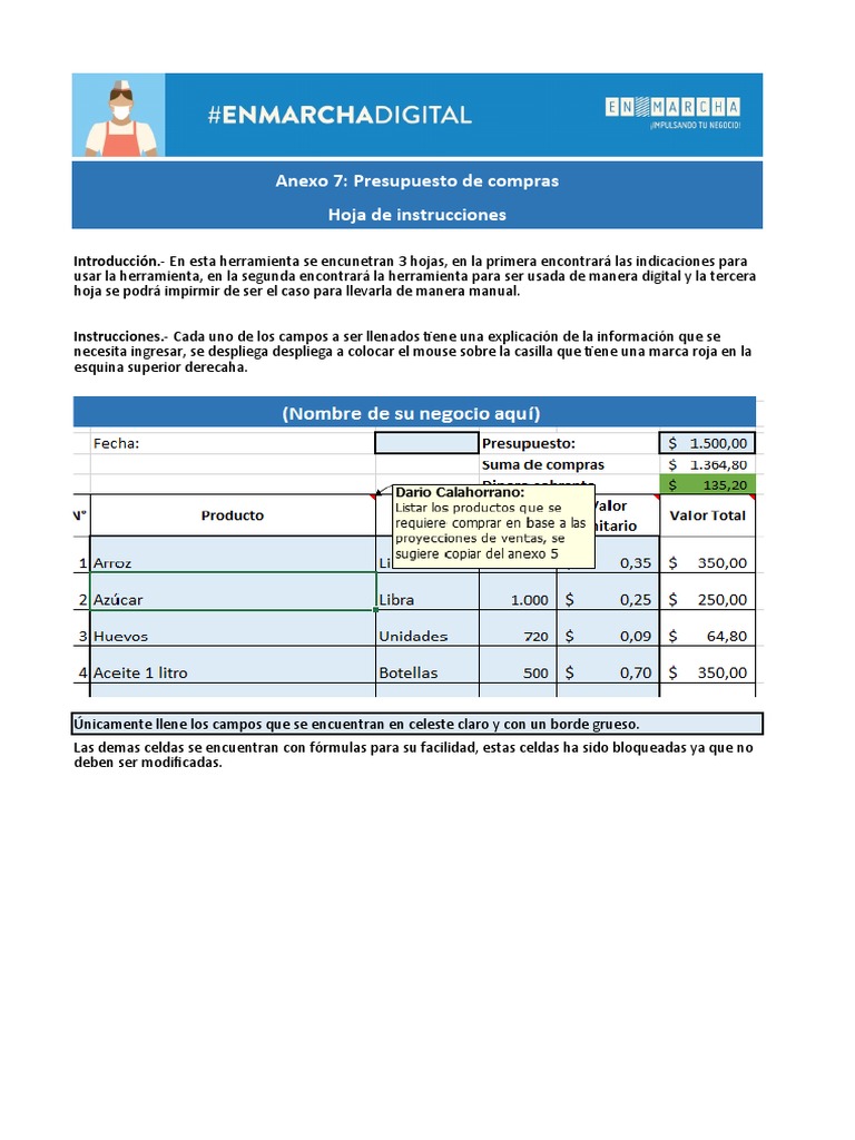anexo-7-presupuesto-de-compras-hoja-de-instrucciones-pdf