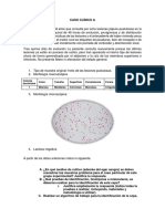 Casos Clínicos Infecciones Cutaneas. Microbiología Clínica I
