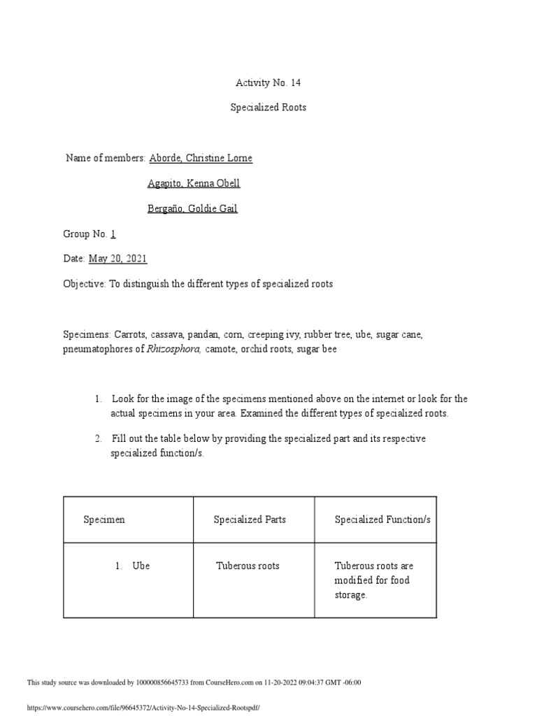 Activity No. 14 Specialized Roots PDF | PDF | Root | Plants