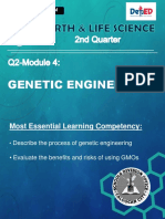q2 w4 Genetic Engineering