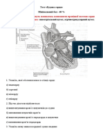 тест будова серця