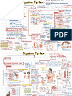 Mindmap Digestive System