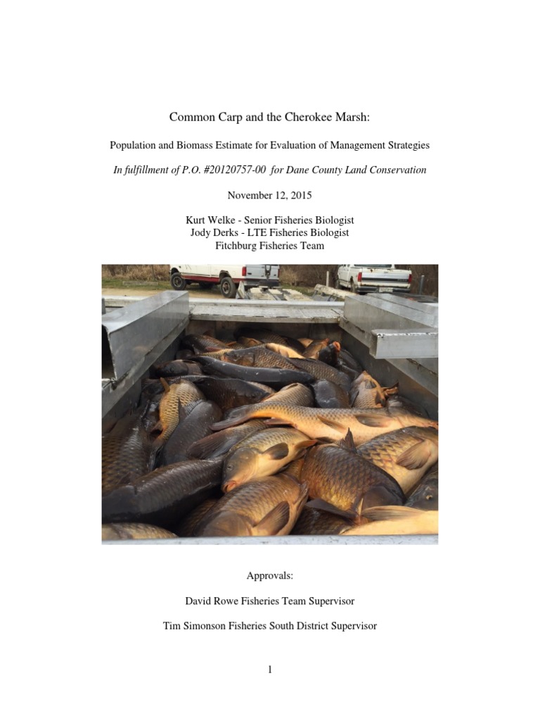 Common Carp Population Study in Cherokee Marsh | PDF | Overfishing ...