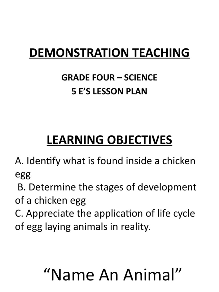 Chicken Egg Life Cycle Lesson Plan | PDF | Wellness