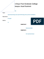 Phonetics and Phonology