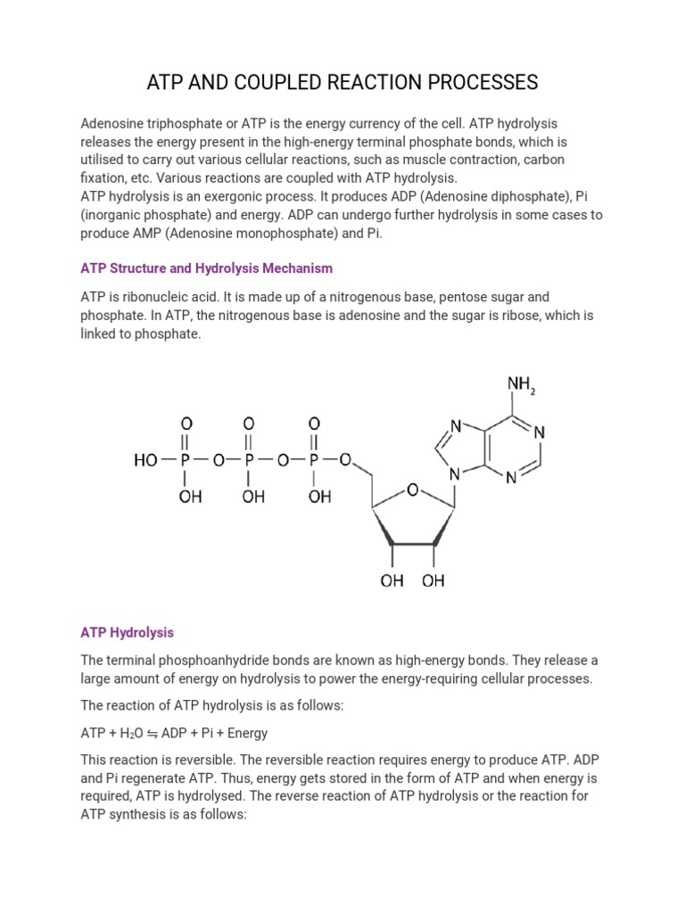 ATP Hydrolysis and Coupled Reactions | PDF | Adenosine Triphosphate ...