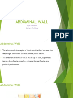 Anatomy Lec 14 ( Abdominal Wall)