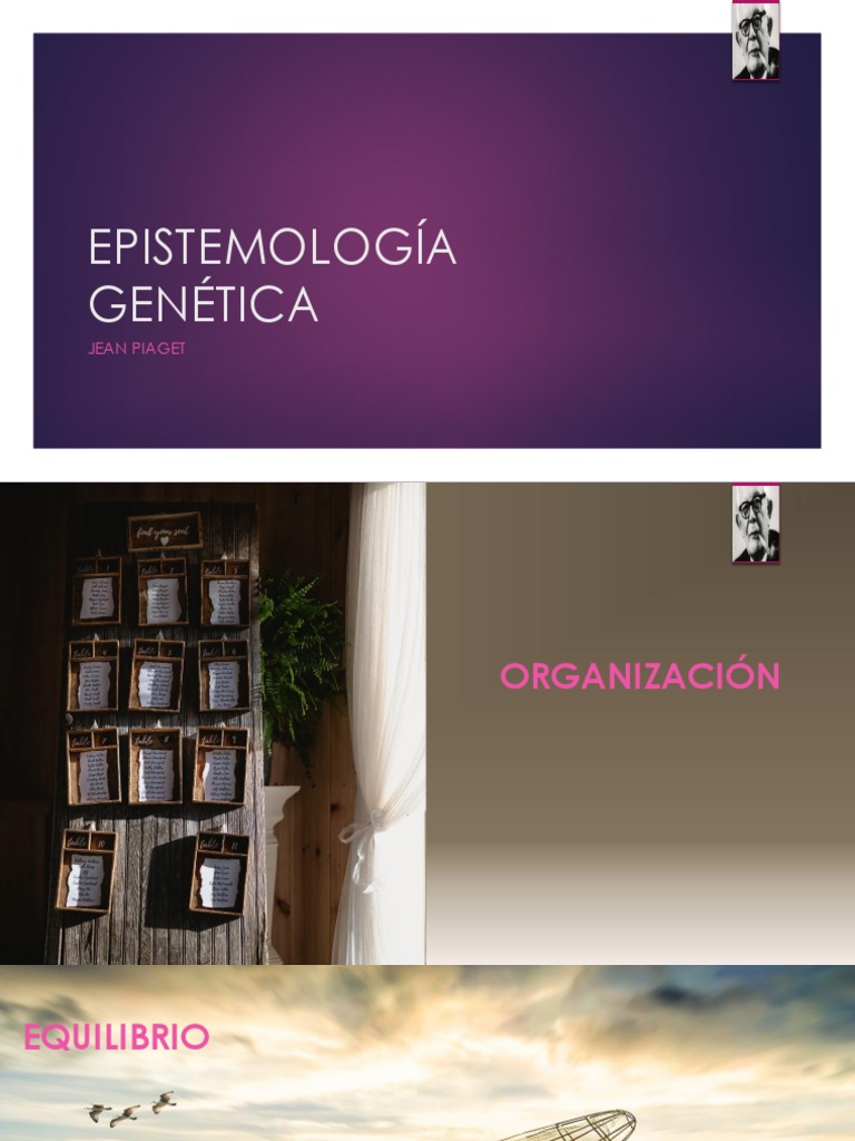 Epistemología Genética PDF