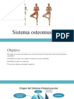 Sistema Osteomuscular