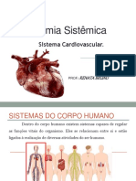 Anatomia Sistêmica - (Cardiovascular)