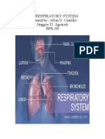 The Respiratory System