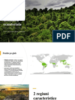 Proiect,Zona forestiera ecuatoriala