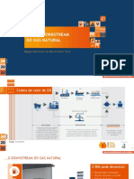 FM - 2105 - 00 - BIM No Downstream Do Gás Natural MAGNO BERNARDO Rev.2.5