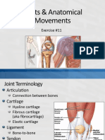 5 Joints Anatomical Movements
