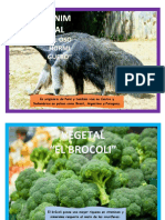 AFICHE ANIMAL Y VEGETAL