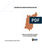 Atlas Municipal de Incidencia de Cáncer en Gipuzkoa 1995-2004