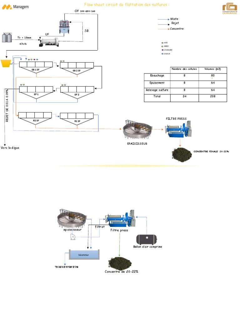 Circuit de Flottation des Sulfures | PDF