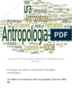 Conceptos Fundamentales de La Antropologia Tema 3