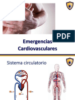 10 Emergencias Médicas