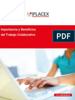 Importancia Del Trabajo Colaborativo