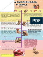 #5 - Etapa Embrionaria y Fetal - Guadalupe Iuit