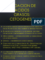 Oxidacion de Acidos Grasos