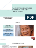 Perspectiva Neuropsicológica Del Envejecimiento Normal y Patológico