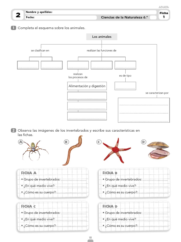 fichas-de-invertebrados-6-primaria-pdf