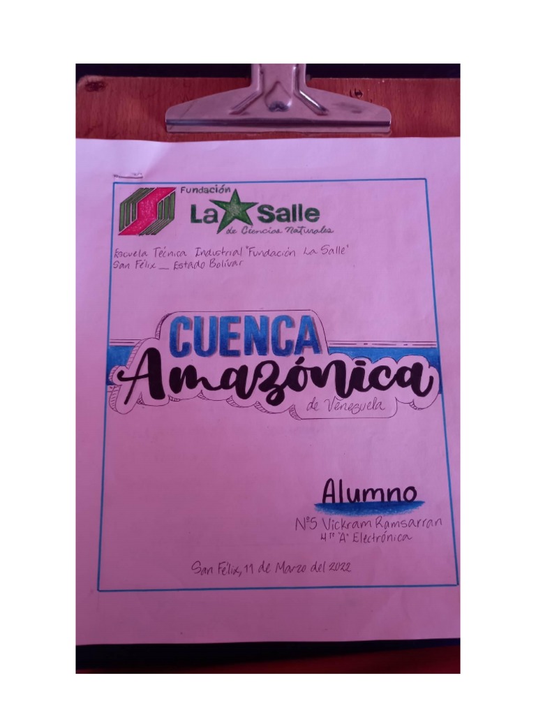 Cuenca Amazonica PDF