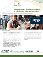 Análisis de Vulnerabilidad El Salvador