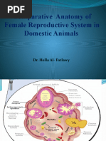 Kaltaklangan ayollar