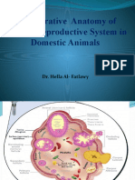 Comparative Anatomy of Female Reproductive System in Domestic Animals