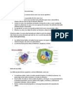 Guia Biologia Final