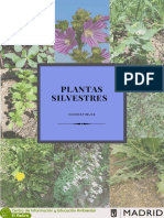 Plantas Silvestres Comestibles