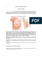 Cáncer de Mama. Fisiopatología