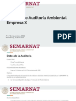 Informe de Auditoría Ambiental 