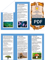 Triptico Clasificación de Los Seres Vivos-1