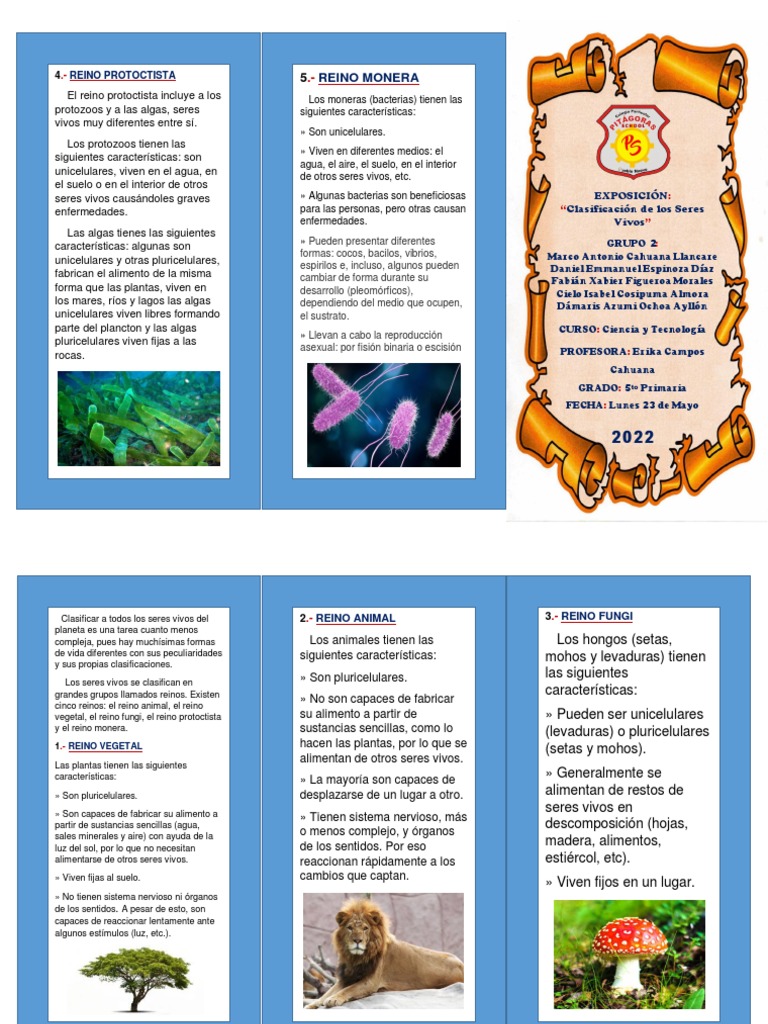 Triptico Clasificación de Los Seres Vivos-1 | PDF