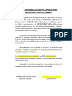 ACTA DE NOMBRAMIENTO DEL SSST SERVICOPIERS D' MARIA SAC