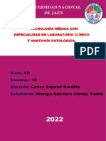 Rimapa Guerrero Clendy - Epidemiologia - S12
