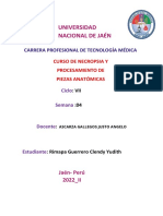 Reviviendo A Los Muertos de Juárez Informe Forense Numero 04