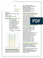 Características Das Dentições