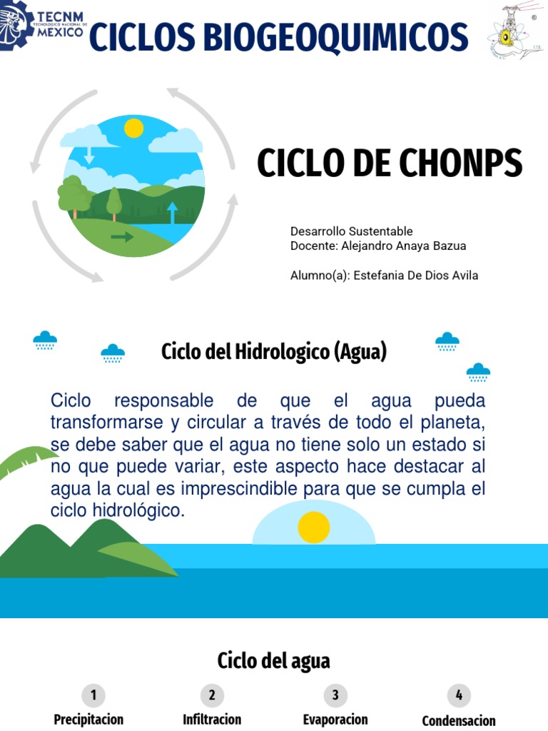 Ciclo de CHONPS en Biogeoquímica | PDF | Agua | Tierra