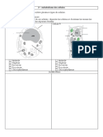 devoir-4-le-metabolisme-des-cellules