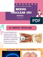 Nervio Troclear