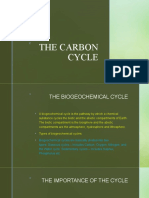 The Carbon Cycle 1