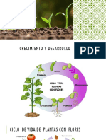 Ciclo Vida Plantas